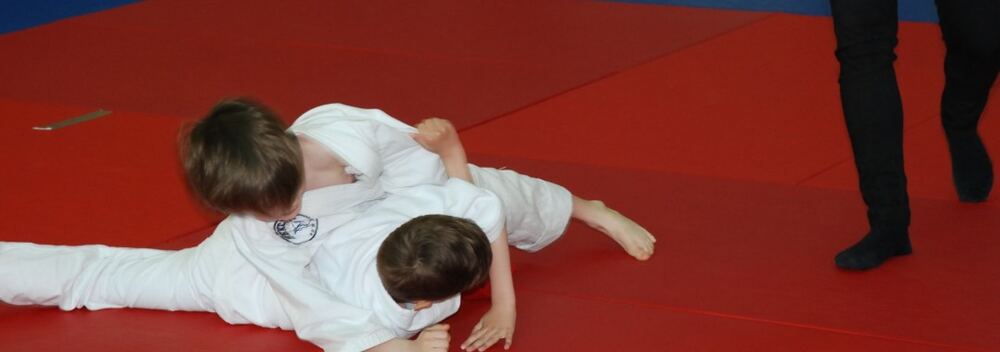 I Mistrzostwa Pogórza Dzieci w Judo – 22.05.2016 — zdjęcie z archiwum klubu
