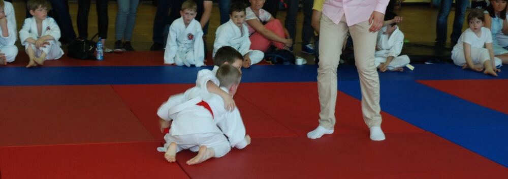 I Mistrzostwa Pogórza Dzieci w Judo – 22.05.2016 — zdjęcie z archiwum klubu