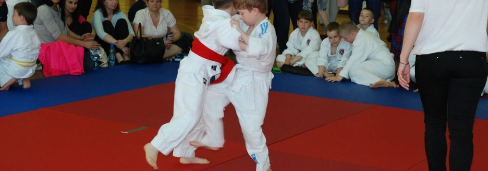 I Mistrzostwa Pogórza Dzieci w Judo – 22.05.2016 — zdjęcie z archiwum klubu