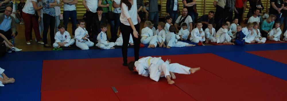I Mistrzostwa Pogórza Dzieci w Judo – 22.05.2016 — zdjęcie z archiwum klubu