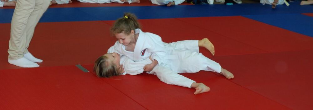 I Mistrzostwa Pogórza Dzieci w Judo – 22.05.2016 — zdjęcie z archiwum klubu