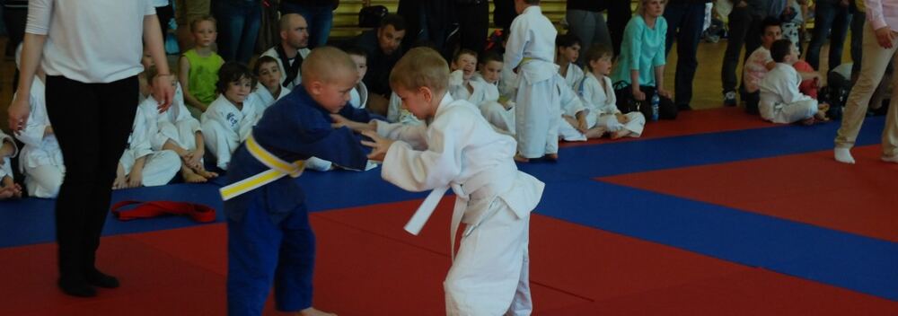 I Mistrzostwa Pogórza Dzieci w Judo – 22.05.2016 — zdjęcie z archiwum klubu