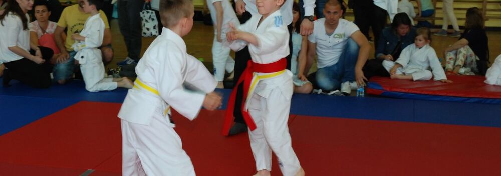 I Mistrzostwa Pogórza Dzieci w Judo – 22.05.2016 — zdjęcie z archiwum klubu