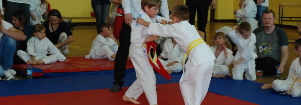 I Mistrzostwa Pogórza Dzieci w Judo – 22.05.2016 — zdjęcie z archiwum klubu
