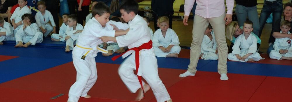I Mistrzostwa Pogórza Dzieci w Judo – 22.05.2016 — zdjęcie z archiwum klubu