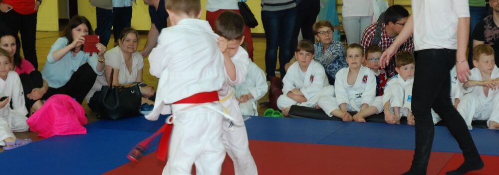 I Mistrzostwa Pogórza Dzieci w Judo – 22.05.2016 — zdjęcie z archiwum klubu