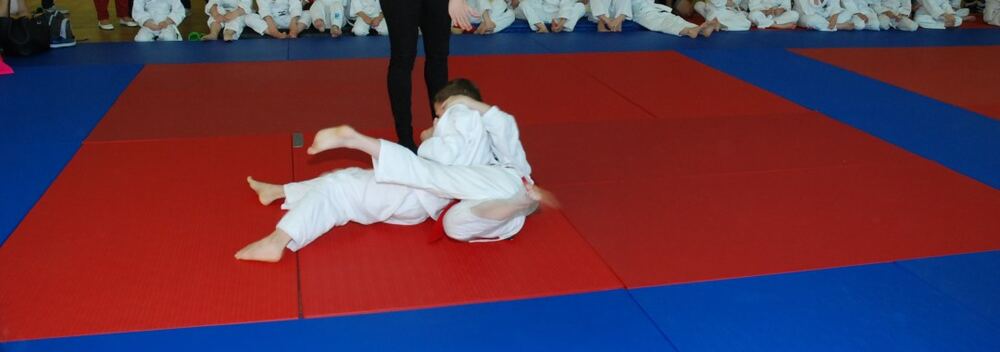 I Mistrzostwa Pogórza Dzieci w Judo – 22.05.2016 — zdjęcie z archiwum klubu