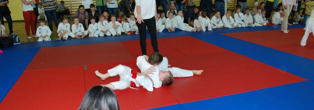 I Mistrzostwa Pogórza Dzieci w Judo – 22.05.2016 — zdjęcie z archiwum klubu