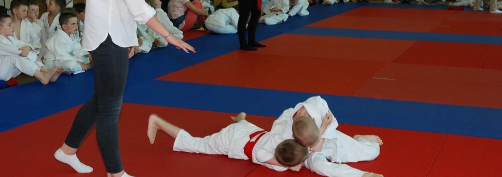 I Mistrzostwa Pogórza Dzieci w Judo – 22.05.2016 — zdjęcie z archiwum klubu