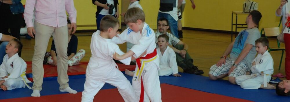 I Mistrzostwa Pogórza Dzieci w Judo – 22.05.2016 — zdjęcie z archiwum klubu
