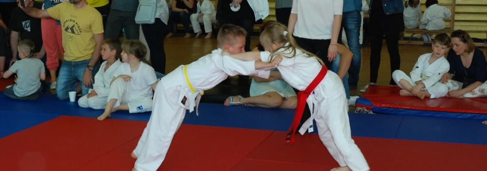 I Mistrzostwa Pogórza Dzieci w Judo – 22.05.2016 — zdjęcie z archiwum klubu