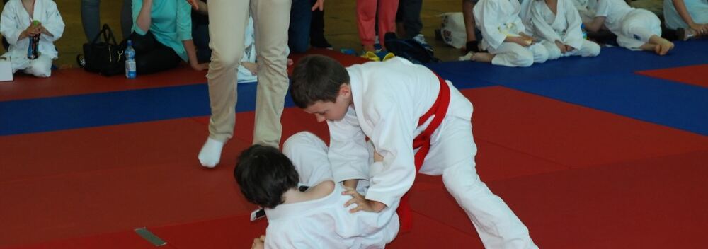 I Mistrzostwa Pogórza Dzieci w Judo – 22.05.2016 — zdjęcie z archiwum klubu