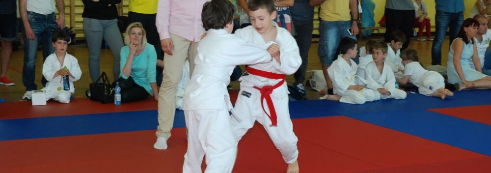 I Mistrzostwa Pogórza Dzieci w Judo – 22.05.2016 — zdjęcie z archiwum klubu