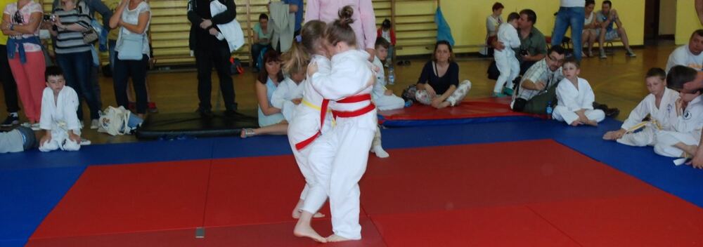 I Mistrzostwa Pogórza Dzieci w Judo – 22.05.2016 — zdjęcie z archiwum klubu