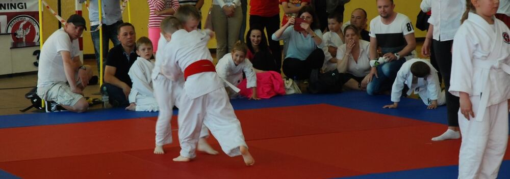 I Mistrzostwa Pogórza Dzieci w Judo – 22.05.2016 — zdjęcie z archiwum klubu