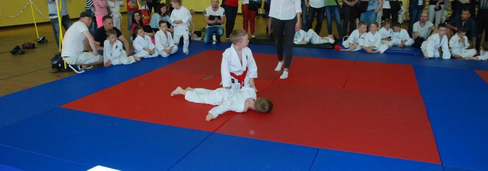 I Mistrzostwa Pogórza Dzieci w Judo – 22.05.2016 — zdjęcie z archiwum klubu