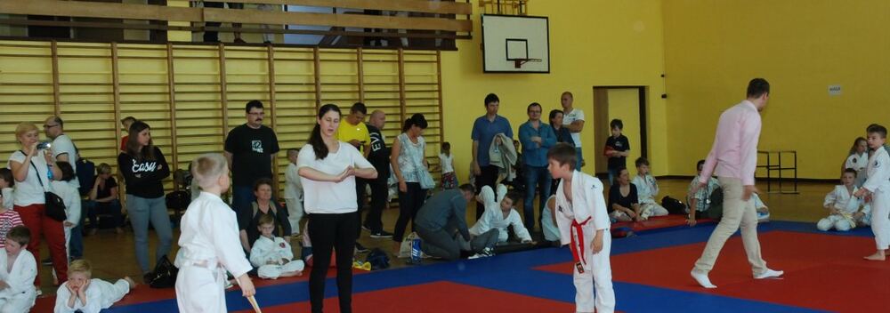 I Mistrzostwa Pogórza Dzieci w Judo – 22.05.2016 — zdjęcie z archiwum klubu