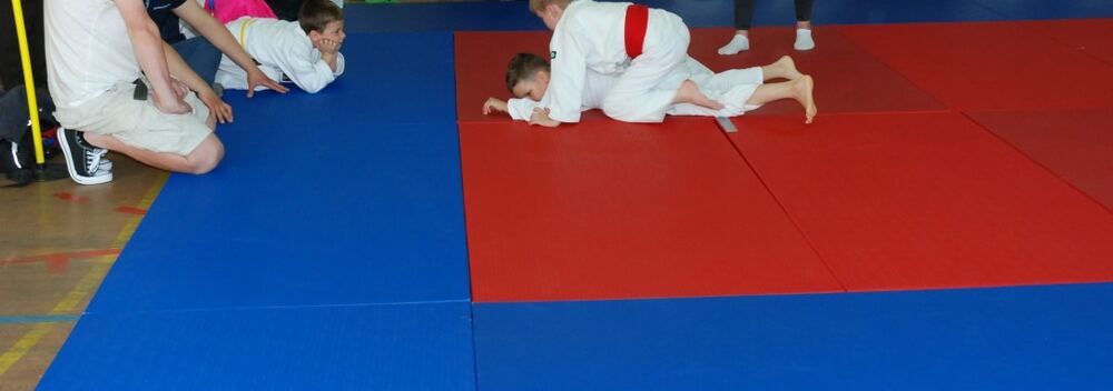 I Mistrzostwa Pogórza Dzieci w Judo – 22.05.2016 — zdjęcie z archiwum klubu