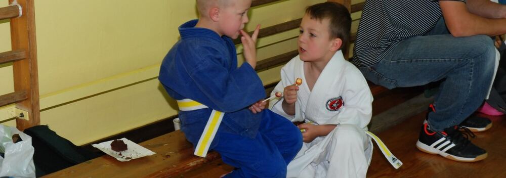 I Mistrzostwa Pogórza Dzieci w Judo – 22.05.2016 — zdjęcie z archiwum klubu