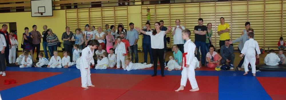 I Mistrzostwa Pogórza Dzieci w Judo – 22.05.2016 — zdjęcie z archiwum klubu