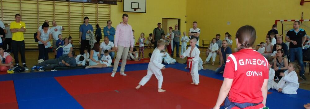I Mistrzostwa Pogórza Dzieci w Judo – 22.05.2016 — zdjęcie z archiwum klubu