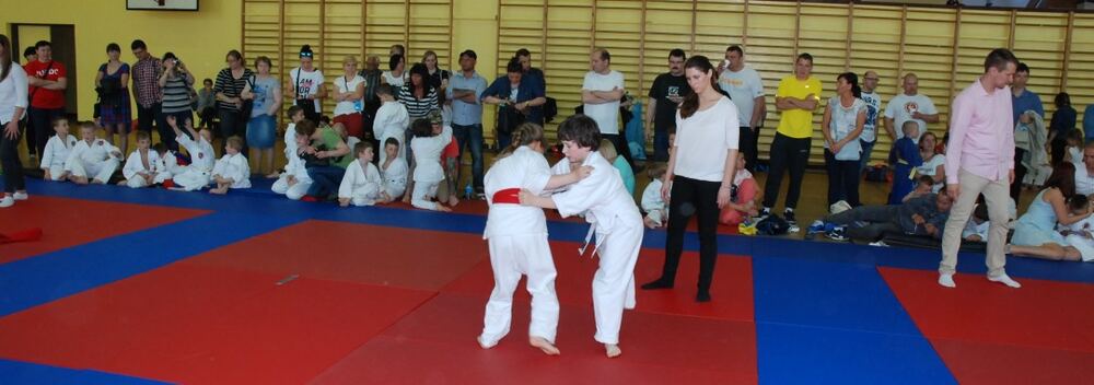 I Mistrzostwa Pogórza Dzieci w Judo – 22.05.2016 — zdjęcie z archiwum klubu