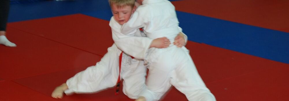 I Mistrzostwa Pogórza Dzieci w Judo – 22.05.2016 — zdjęcie z archiwum klubu