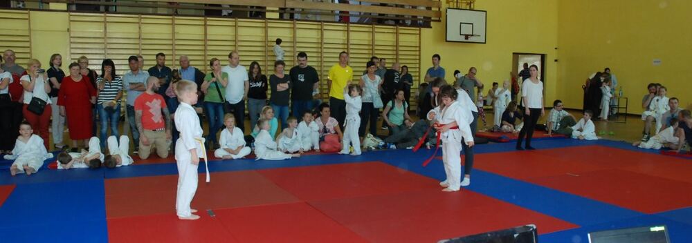 I Mistrzostwa Pogórza Dzieci w Judo – 22.05.2016 — zdjęcie z archiwum klubu