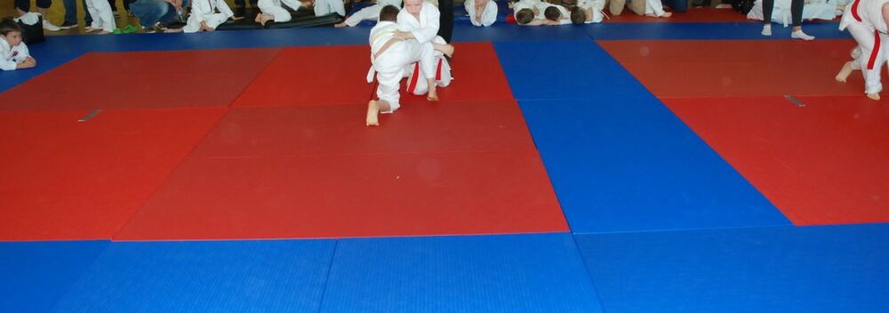 I Mistrzostwa Pogórza Dzieci w Judo – 22.05.2016 — zdjęcie z archiwum klubu