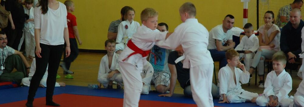 I Mistrzostwa Pogórza Dzieci w Judo – 22.05.2016 — zdjęcie z archiwum klubu