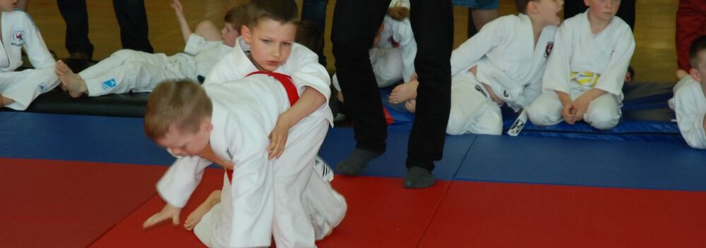 I Mistrzostwa Pogórza Dzieci w Judo – 22.05.2016 — zdjęcie z archiwum klubu