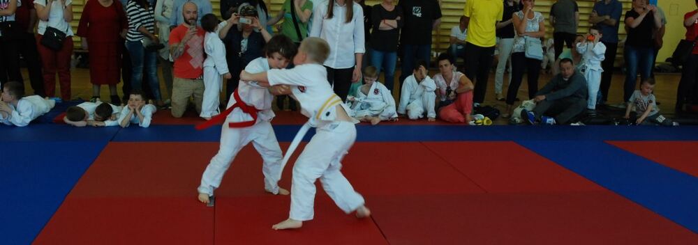 I Mistrzostwa Pogórza Dzieci w Judo – 22.05.2016 — zdjęcie z archiwum klubu