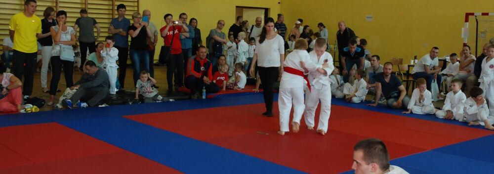 I Mistrzostwa Pogórza Dzieci w Judo – 22.05.2016 — zdjęcie z archiwum klubu