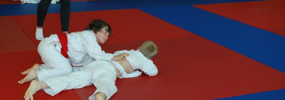 I Mistrzostwa Pogórza Dzieci w Judo – 22.05.2016 — zdjęcie z archiwum klubu