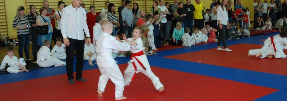 I Mistrzostwa Pogórza Dzieci w Judo – 22.05.2016 — zdjęcie z archiwum klubu