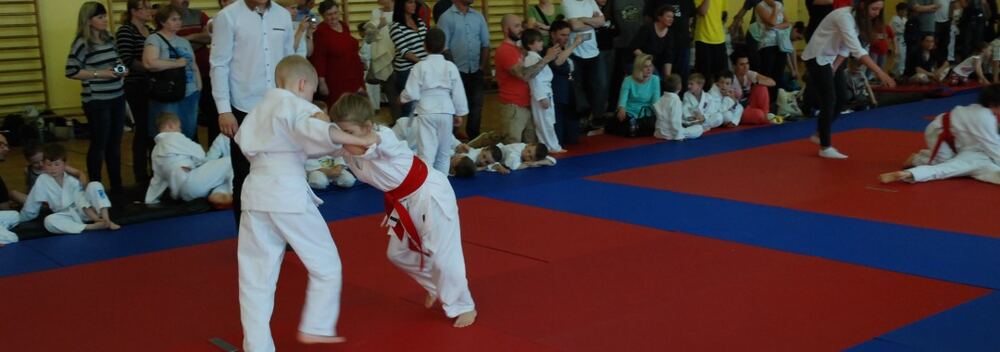 I Mistrzostwa Pogórza Dzieci w Judo – 22.05.2016 — zdjęcie z archiwum klubu