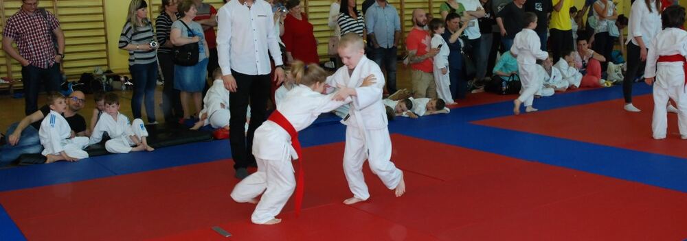 I Mistrzostwa Pogórza Dzieci w Judo – 22.05.2016 — zdjęcie z archiwum klubu