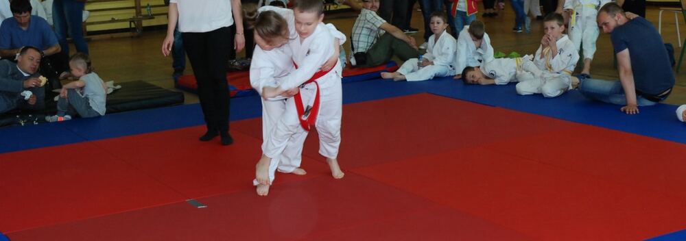 I Mistrzostwa Pogórza Dzieci w Judo – 22.05.2016 — zdjęcie z archiwum klubu