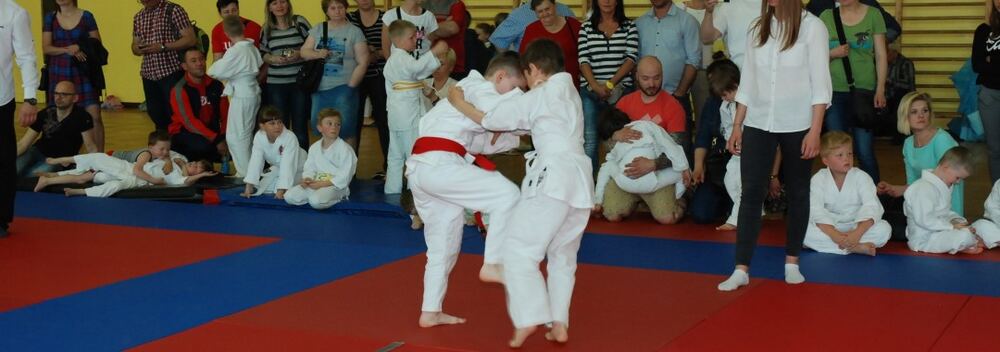 I Mistrzostwa Pogórza Dzieci w Judo – 22.05.2016 — zdjęcie z archiwum klubu