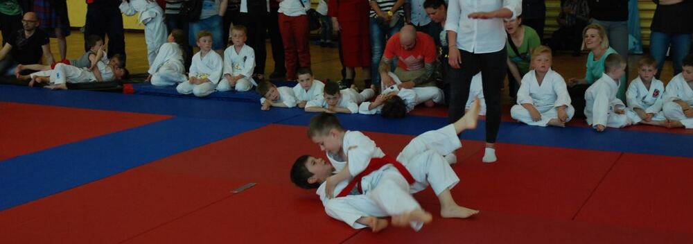 I Mistrzostwa Pogórza Dzieci w Judo – 22.05.2016 — zdjęcie z archiwum klubu