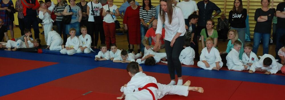 I Mistrzostwa Pogórza Dzieci w Judo – 22.05.2016 — zdjęcie z archiwum klubu