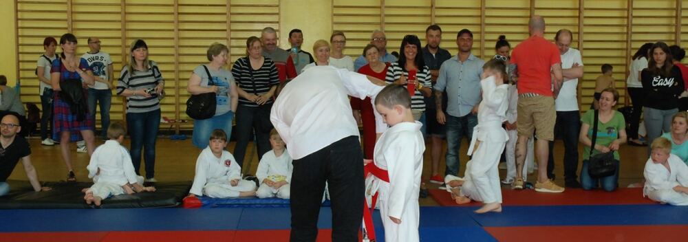 I Mistrzostwa Pogórza Dzieci w Judo – 22.05.2016 — zdjęcie z archiwum klubu