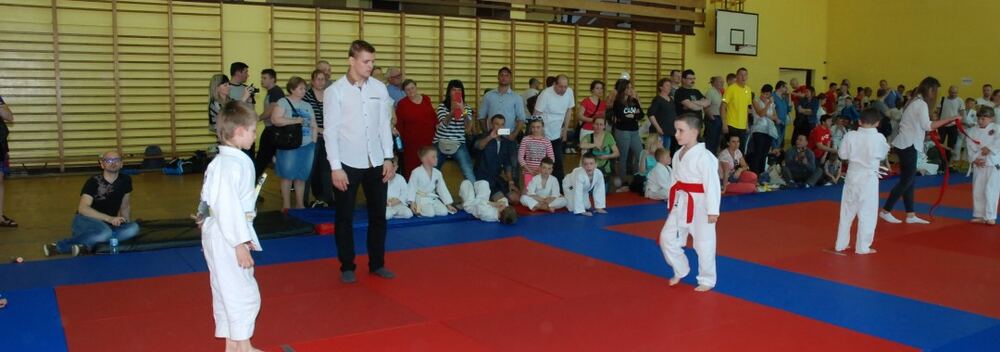 I Mistrzostwa Pogórza Dzieci w Judo – 22.05.2016 — zdjęcie z archiwum klubu