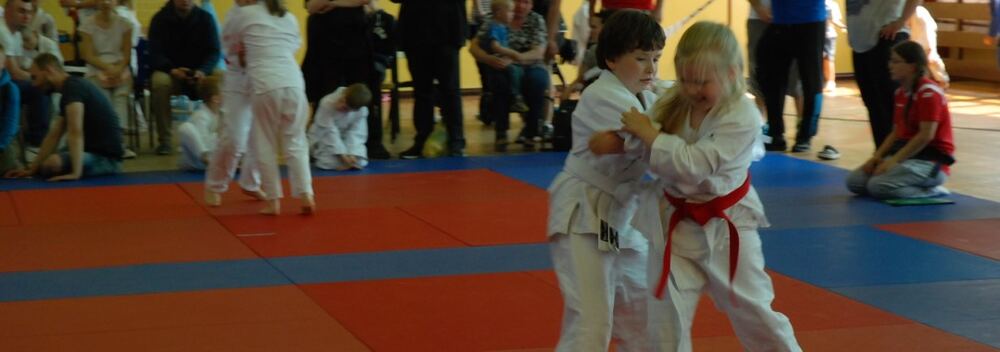 I Mistrzostwa Pogórza Dzieci w Judo – 22.05.2016 — zdjęcie z archiwum klubu
