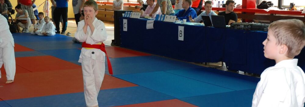 I Mistrzostwa Pogórza Dzieci w Judo – 22.05.2016 — zdjęcie z archiwum klubu