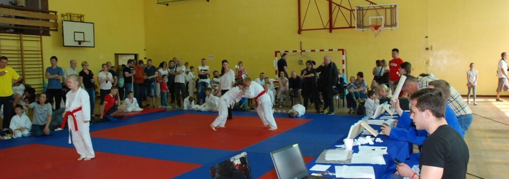 I Mistrzostwa Pogórza Dzieci w Judo – 22.05.2016 — zdjęcie z archiwum klubu