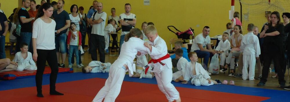 I Mistrzostwa Pogórza Dzieci w Judo – 22.05.2016 — zdjęcie z archiwum klubu