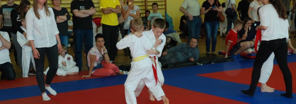 I Mistrzostwa Pogórza Dzieci w Judo – 22.05.2016 — zdjęcie z archiwum klubu