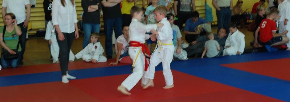 I Mistrzostwa Pogórza Dzieci w Judo – 22.05.2016 — zdjęcie z archiwum klubu