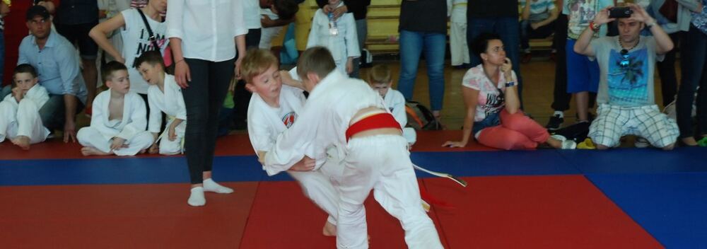 I Mistrzostwa Pogórza Dzieci w Judo – 22.05.2016 — zdjęcie z archiwum klubu